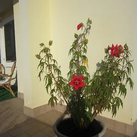 فندق مبيت وإفطار Occhi Di Mare